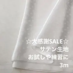 R5L/5349-03◆3m 感謝祭/ポリエステルサテン生地