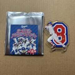 中日ドラゴンズ シークレットアクリルマグネット 大島洋平