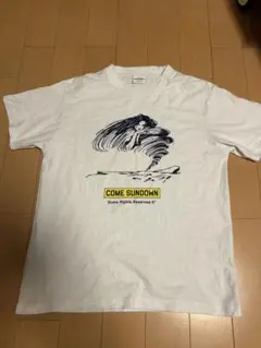 COME SUNDOWN ホワイト Tシャツ M