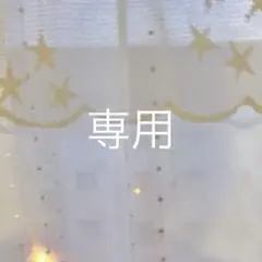 専用ページ