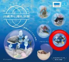 沖縄美ら海水族館 限定 カプリウムコレクション 黒潮の海・大水槽 ジンベエザメ