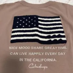 ブラウン Tシャツ 半袖