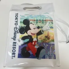 ディズニーリゾートバッグ