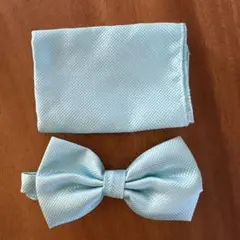 Item thumbnail for item 49fcb56a-00a2-450a-9779-aa1104657fe9