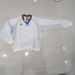 Item thumbnail for item 93426a10-0033-4f76-a5b5-2e7d4ba6332e