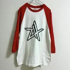 Zebrahead ラグランT 希少　ヴィンテージ　00s ゼブラヘッド　バンT