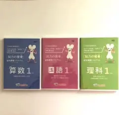 知力の背骨 全巻 中学受験 西村則康監修（未開封品あり） - メルカリ
