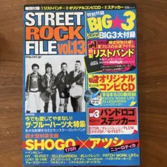 Street rock file Vol.13