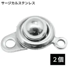 749) ニューホック ボタン式 留め具 サージカルステンレス パーツ 2個