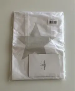 Item thumbnail for item 669669b7-6aae-4b15-8b95-9814fad8e240