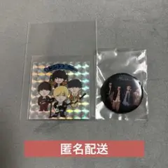 ヤングスキニー ごめんね、ガチャにして ヤンスキセット ステッカー＆缶バッジ