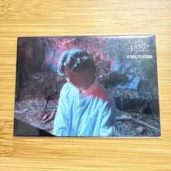 RYOKA FUJISAWA タレントカード fjord 001