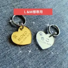 Item thumbnail for item 894671da-cdb3-40fe-81a3-c360afdf855e