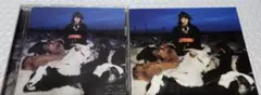 螢　マーブルビニィル　DVD　ミニ写真集付き　送料込み