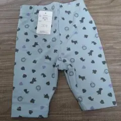 80size！レギパン