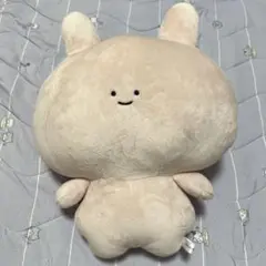 【即購入⭕️】公式 あさみみぬいぐるみ