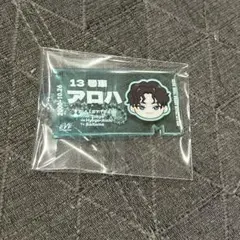 超特急　アロハ　チケットアクキー