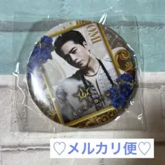 登坂広臣　缶バッジ　会場限定ガチャ　KINGDOM 三代目JSB