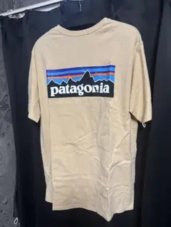 patagonia パタゴニア　P-6ロゴ　レスポンシビリティ　クリーム　L