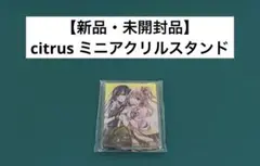 【激レア】　citrus サブロウタ　ミニアクリルスタンド　百合　美品　希少
