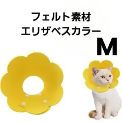 Item thumbnail for item 1ebfc65e-4bd7-42c8-ac2c-fb5c09113430