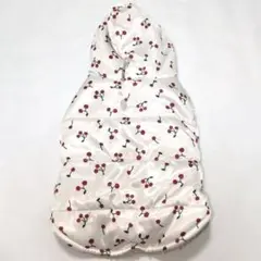 Item thumbnail for item 8b7f400c-66ab-4108-81d0-945697cc5370