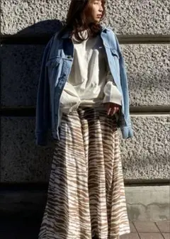 Item thumbnail for item 4f4c66c0-d8fc-4f89-a928-034c04c5c288