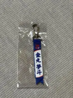 中日ドラゴンズ ガチャ ミニボンフィン 金丸夢斗