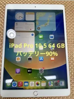 iPad Pro 10.5 64 GB シルバーSIMフリーMQF02J/A