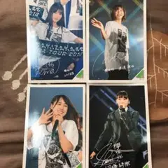 櫻坂46 菅井友香 卒業 生写真 4種コンプ ガラスを割れ シークレット 櫻坂46 菅井友香 卒業 生写真 4種コンプ ガラスを割れ シークレット