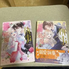 過保護な執事が私の婚活を邪魔してきます 1.2巻