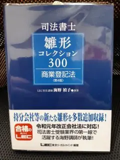 少し豊富な贈り物 司法書士試験 雛形コレクション300 商業登記法