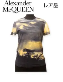 Alexander McQueen アレキサンダーマックイーン サファリTシャツ