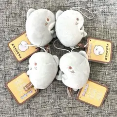 おでかけ子ザメ　ベビー子ザメ ましゅもっち ひとくちサイズ　4個