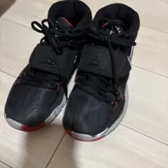 バスケットボールシューズ 黒赤　NIKE