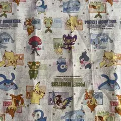 55cm×52cm はぎれ ポケモン