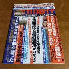 週刊現代　2017年11月4日号