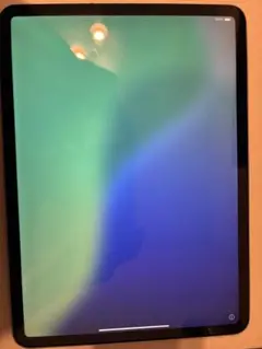 iPad Pro PRO 11 WI-FI 64GB 2018 美品送料無料