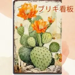 ブリキ看板 アンティーク ヴィンテージ 1枚 サボテン 花 オレンジ