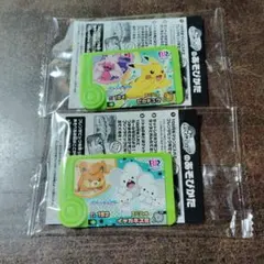 ポケモンフレンダピック 2枚