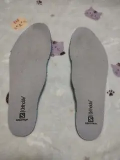 Item thumbnail for item cecbe9da-bce8-41cb-82a5-12b767a33a05