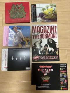 GREATEST THE HITS 2011～2011 【マキシマムザホルモン】