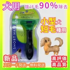Item thumbnail for item a9ee5d71-8b6f-4b8d-9113-42ecb244dd20