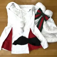 ジャンヌ・ダルクオルタサンタリリィ衣装