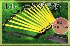 【新品】トレーニングラダー3m6段 バスケサッカー陸上 フィットネス 収納袋付き