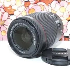 ❤️定番❤️Canon EF-S 18-55mm f3.5-5.6 IS STM❤️