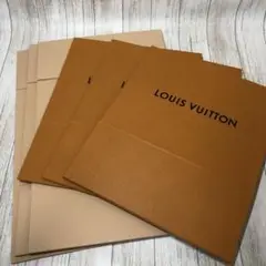 LOUIS VUITTON 空箱 中型