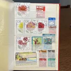 Item thumbnail for item 431d866a-d423-43f5-8837-3c0352e619be