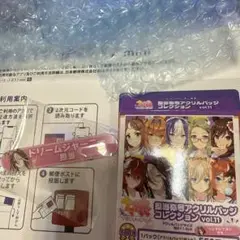 ドリームジャーニー　担当バッジ　アクリルバッジ