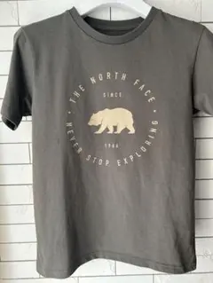 THE NORTH FACE クマTシャツ 150サイズ